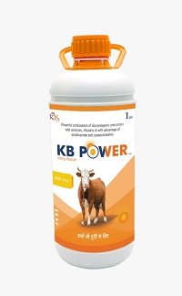 New Product