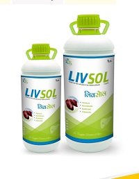New Product